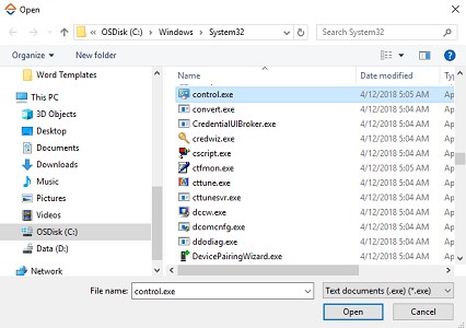 Application Host