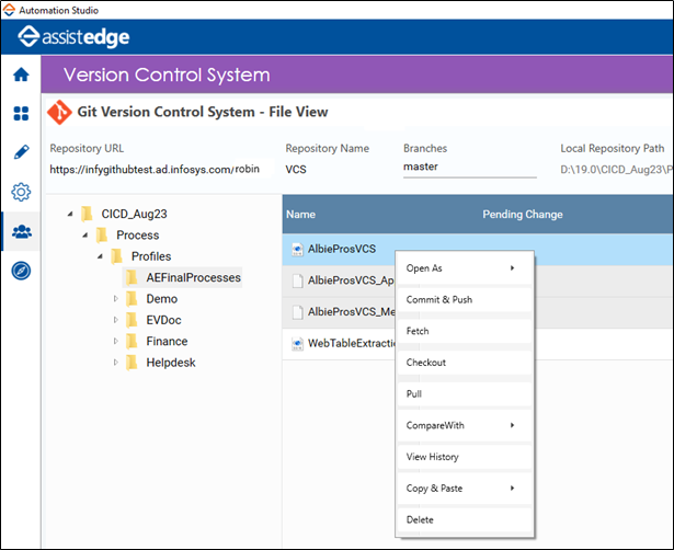 Using Version Control System