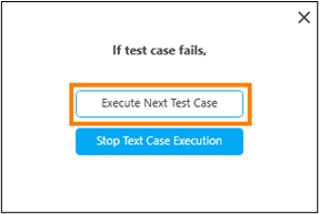Executing Test Cases