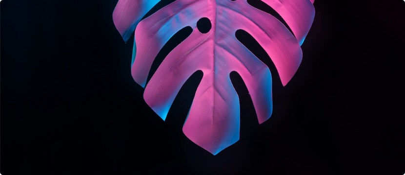 the-beginning-img-bnr-body-f-32