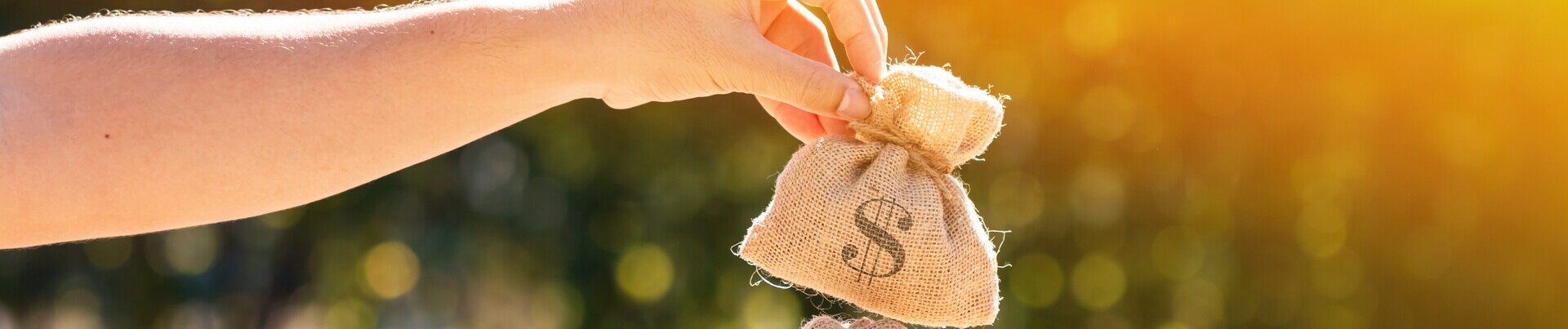 Credit Union banner