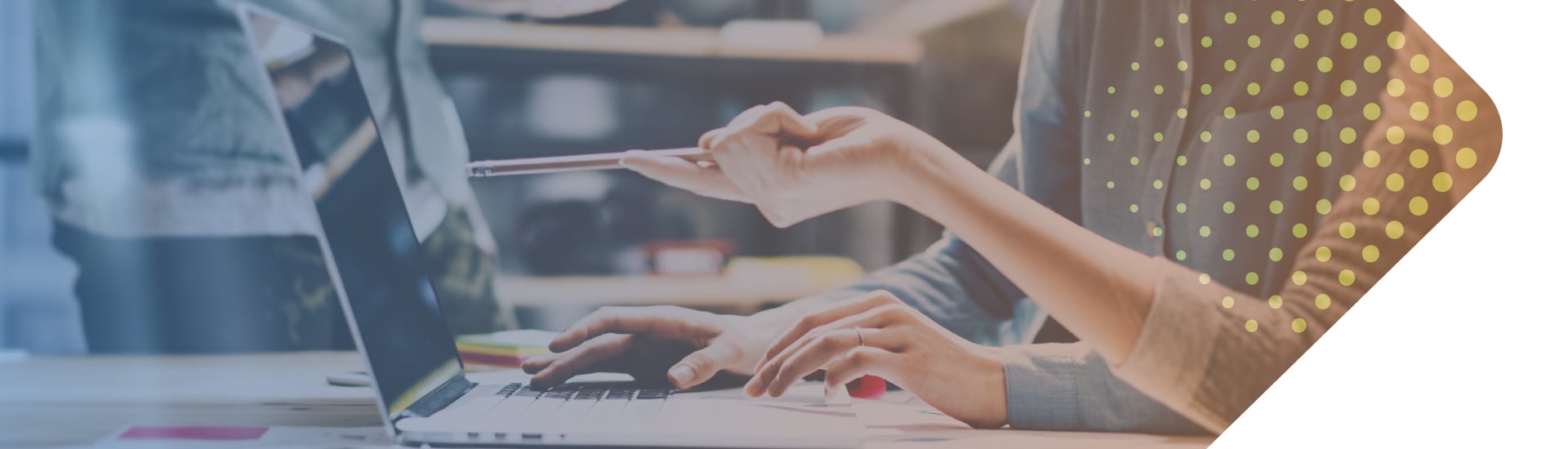 Procurement Insights banner