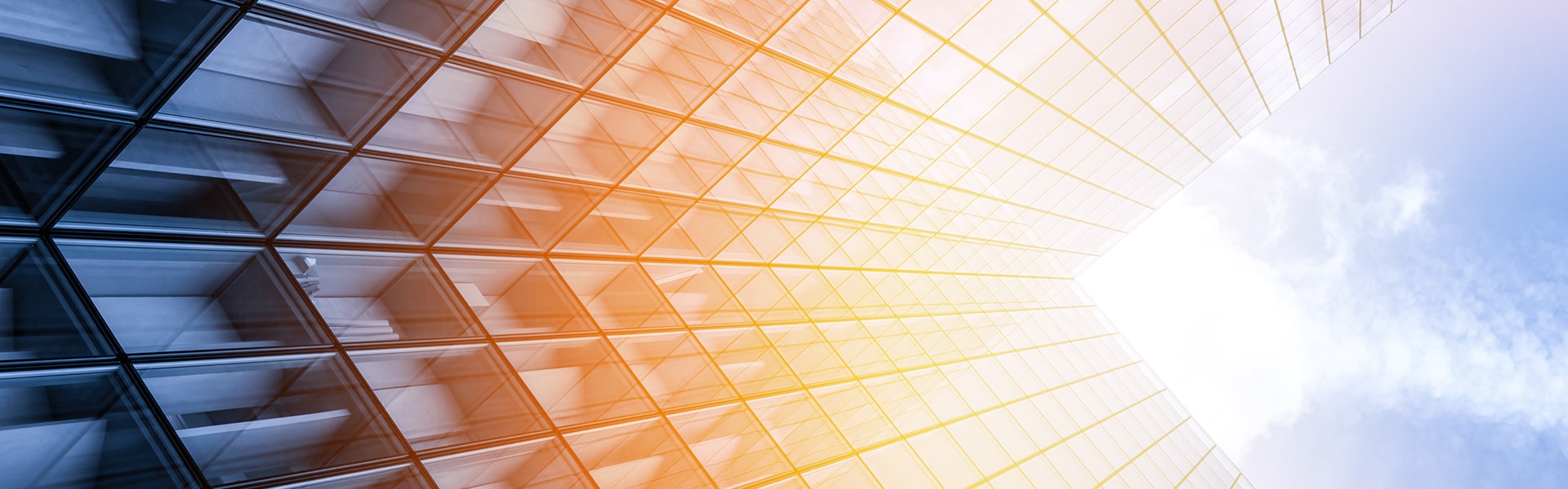 Next-Digital-Transformation-Wave-banner